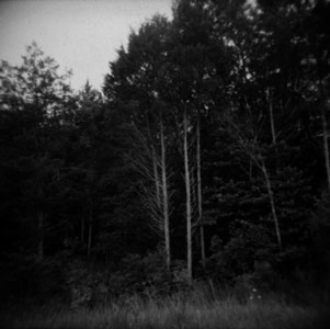 holga1