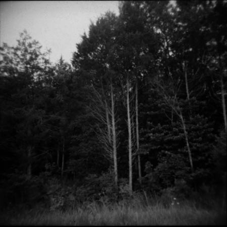 holga1